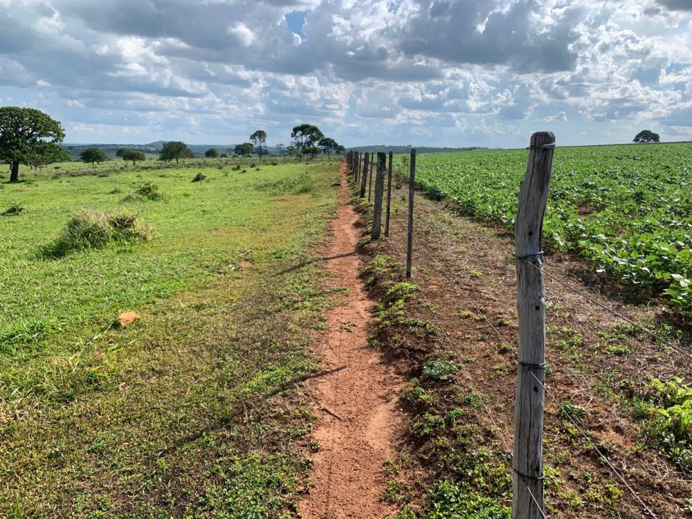 Fazenda - Venda - Setor Central - Ipameri - GO